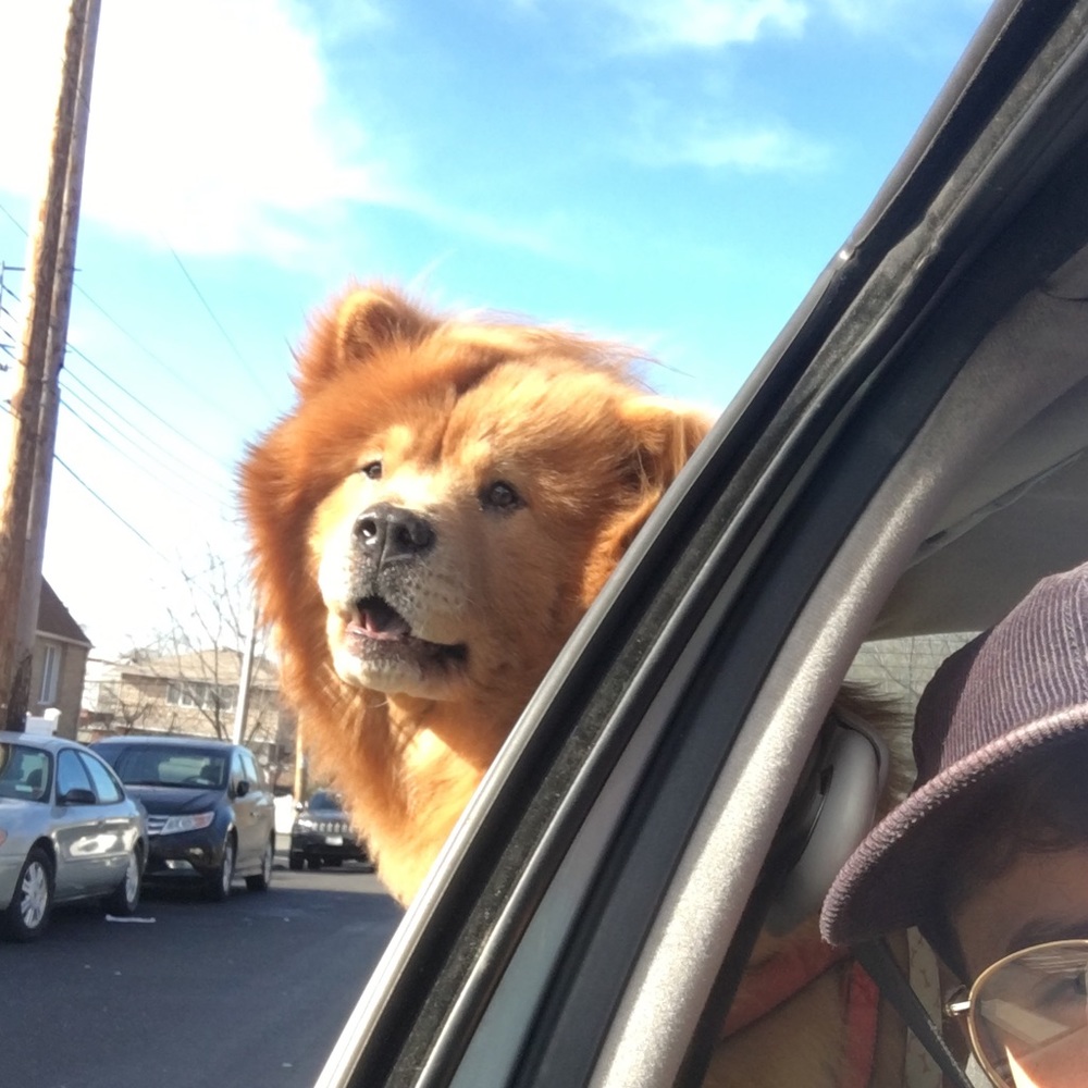 Meet your Posher, Thomas